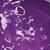 Colanyl Violet RL 132